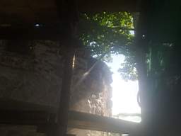 castlepark gate - 12955.jpg